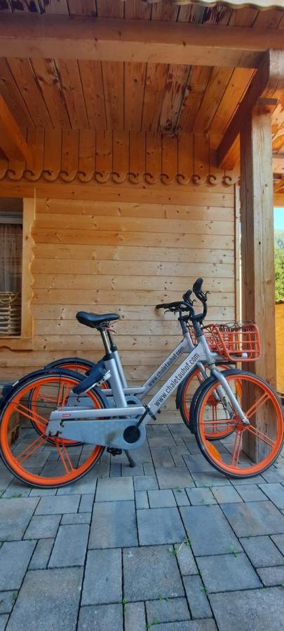 Chalet Auhof فلاخاو المظهر الخارجي الصورة