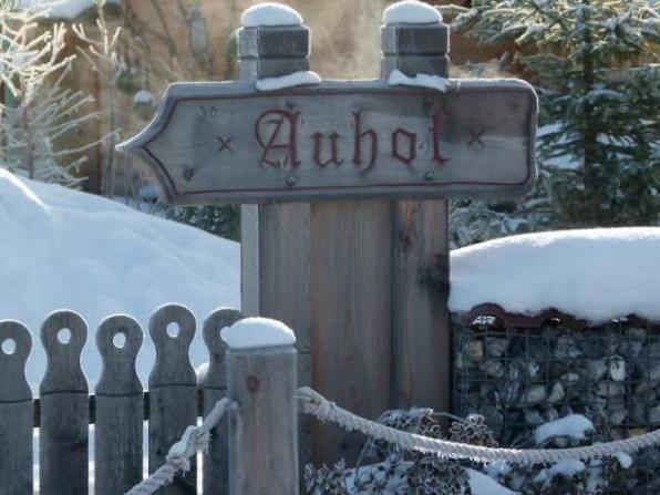 Chalet Auhof فلاخاو المظهر الخارجي الصورة